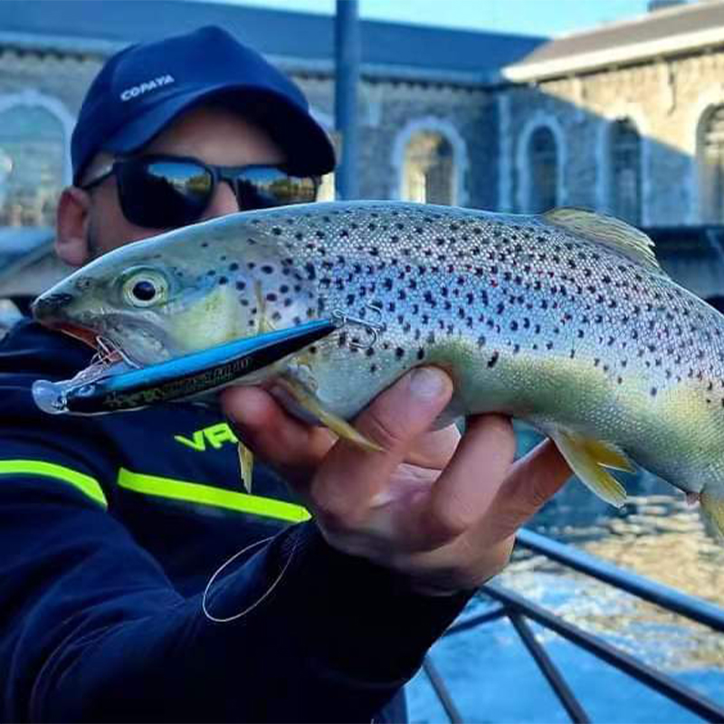 LEYDUN Artist FR Silence Sinki - Fishing Equipment Daiwa のレビューと価格