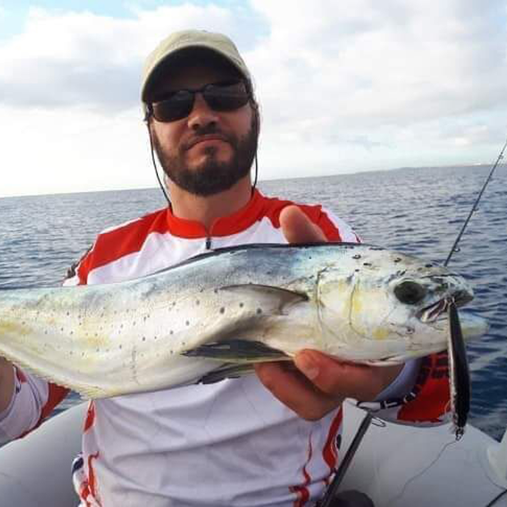 Hunthouse Minnow Jerkbait Arti - Fishing Equipment Daiwa のレビューと価格
