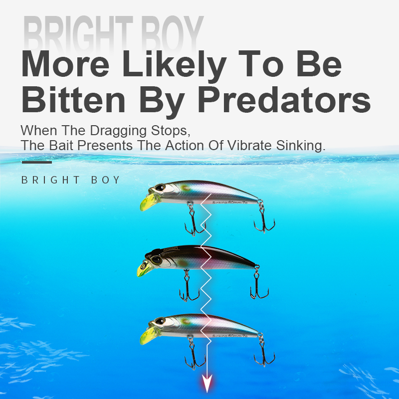 Kingdom Sinking Minnow Fishing - Fishing Equipment Daiwa のレビューと価格