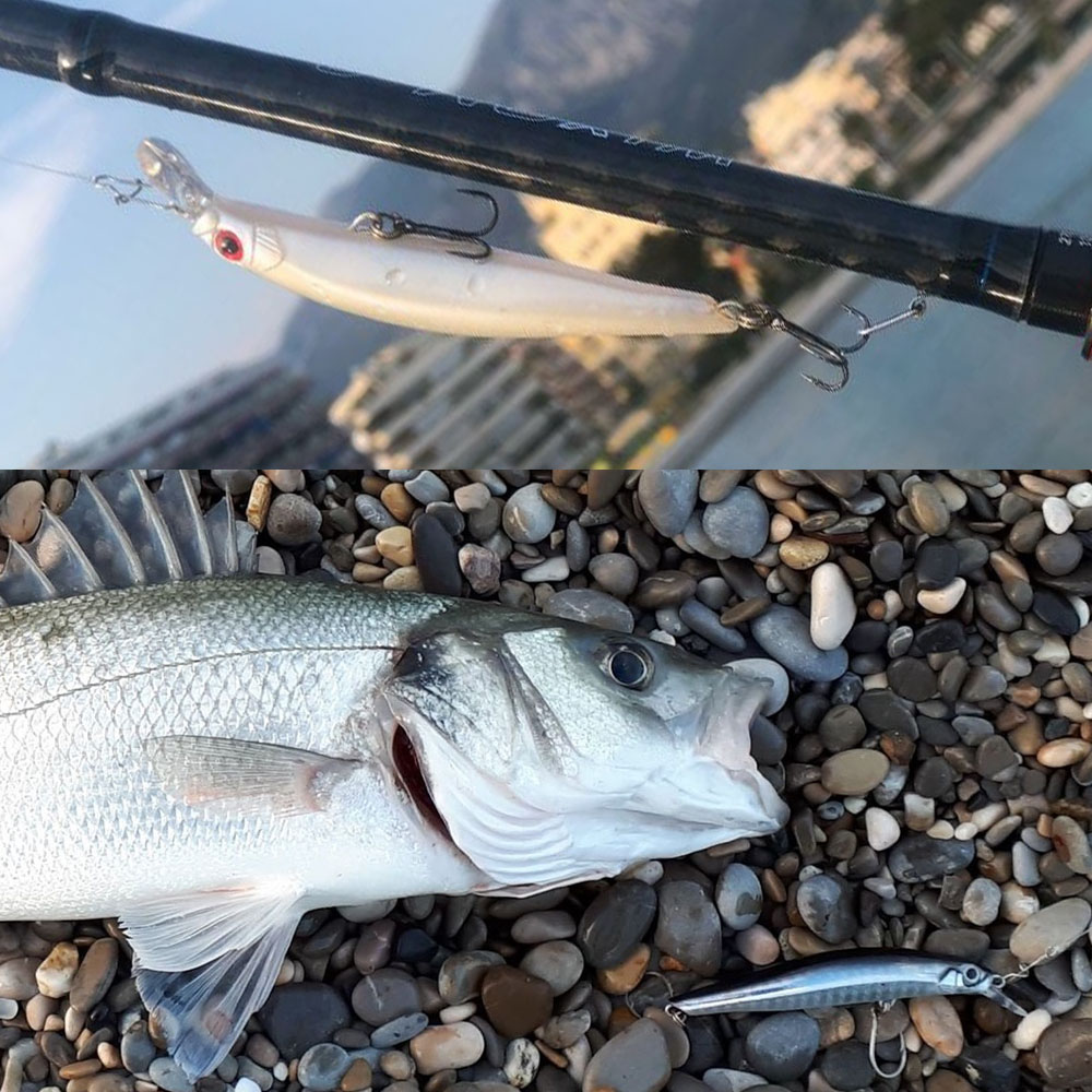 Hunthouse Fishing Lure Artist  - Fishing Equipment Daiwa のレビューと価格